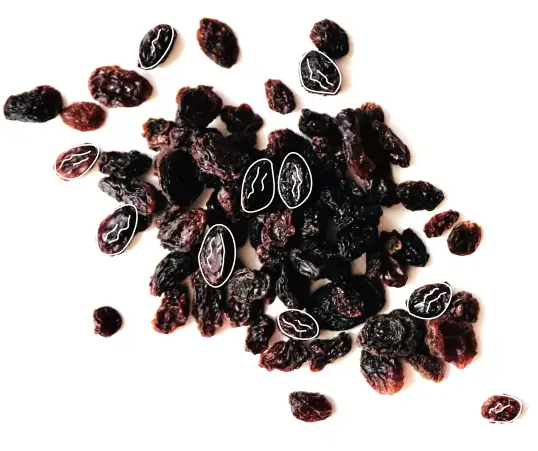انواع کشمش